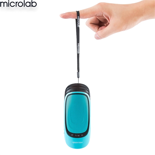Loa Microlab MD217 2
